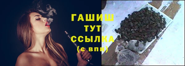 сатива Ельня
