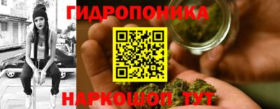 трава Кунгур