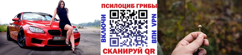 Псилоцибиновые грибы ЛСД  купить наркотик  Тихорецк 